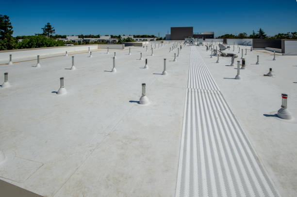 Best Roof Moss and Algae Removal  in Eastern Goleta Valley, CA